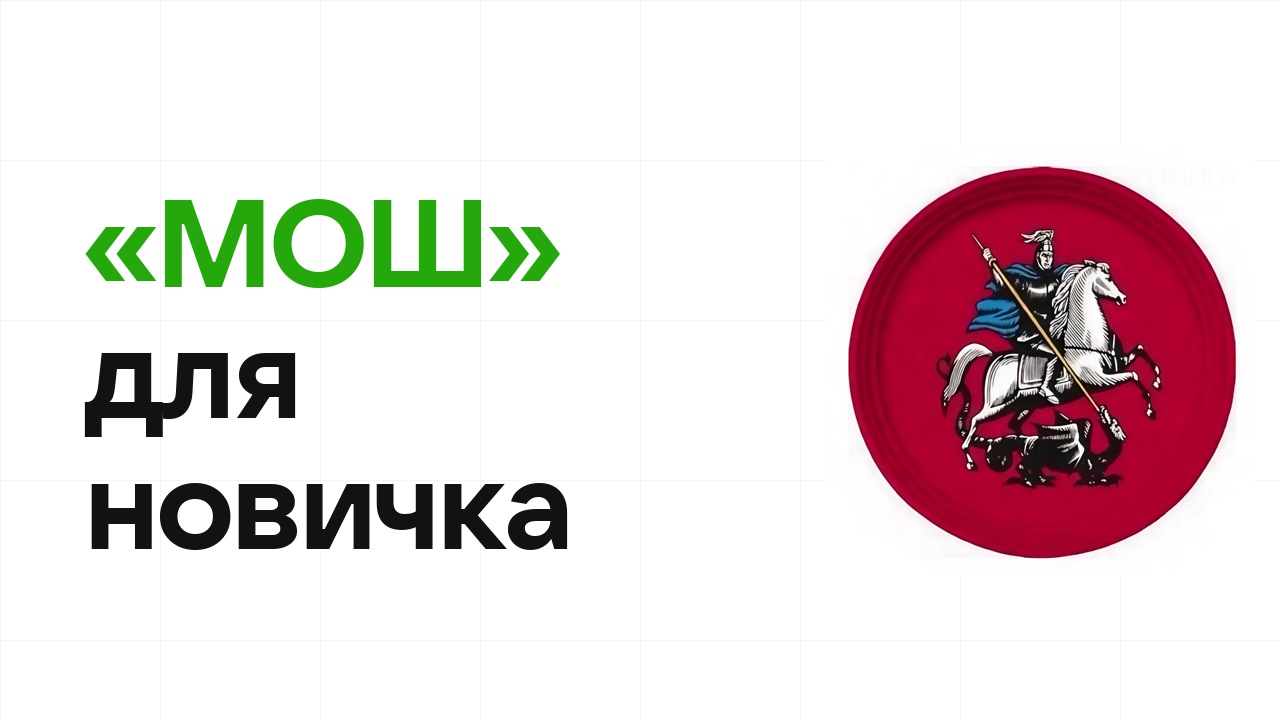 Олимпиада «МОШ» для новичка: с чего начать подготовку