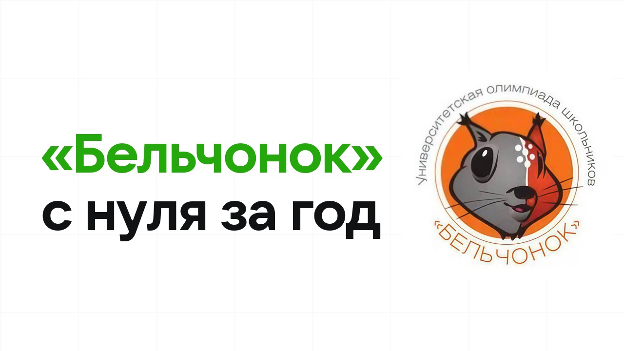Как подготовиться к олимпиаде «Бельчонок» с нуля и успеть за один год