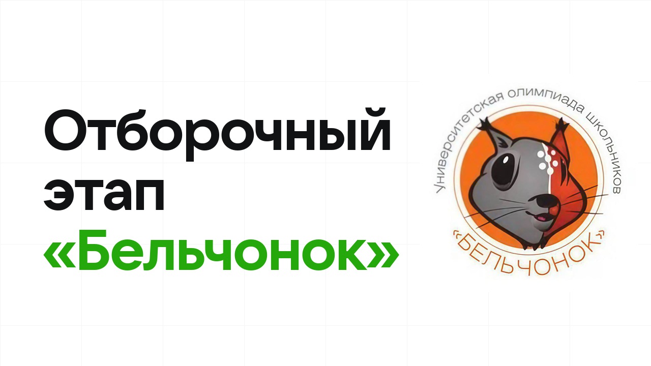 Как проходит отборочный этап олимпиады «Бельчонок» и к чему готовиться
