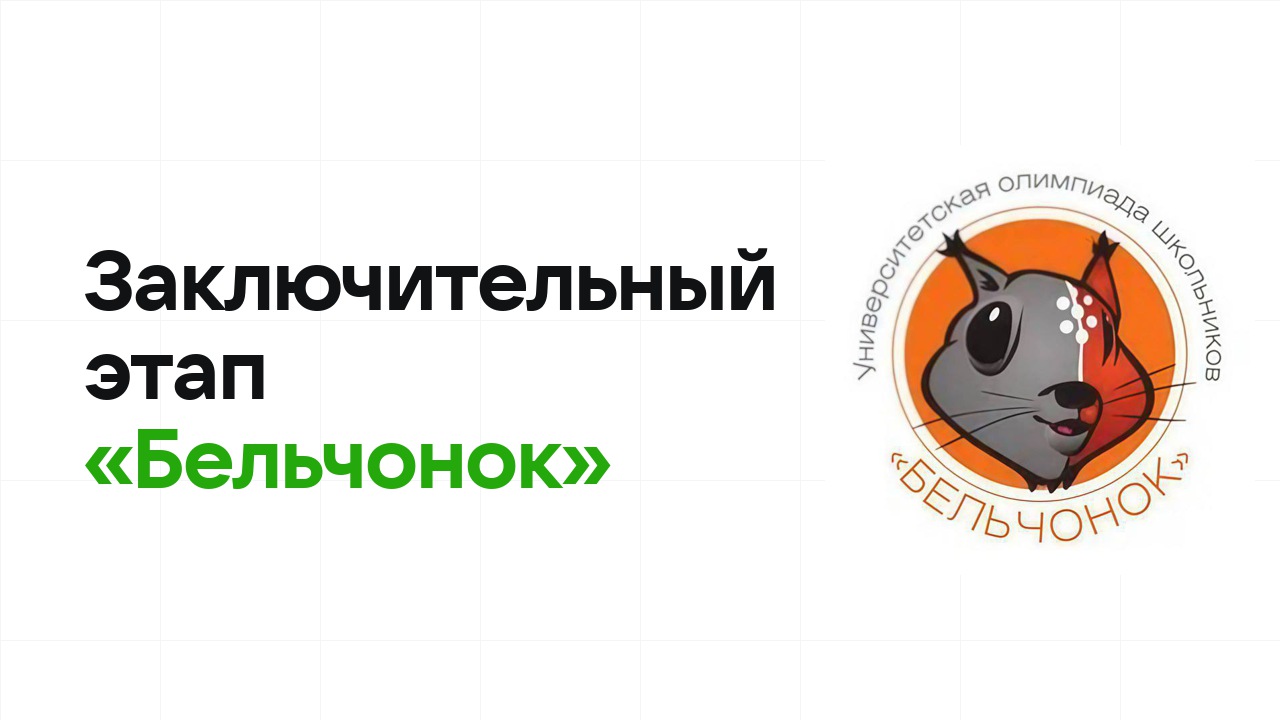 Заключительный этап олимпиады «Бельчонок»: как готовиться, чтобы взять диплом